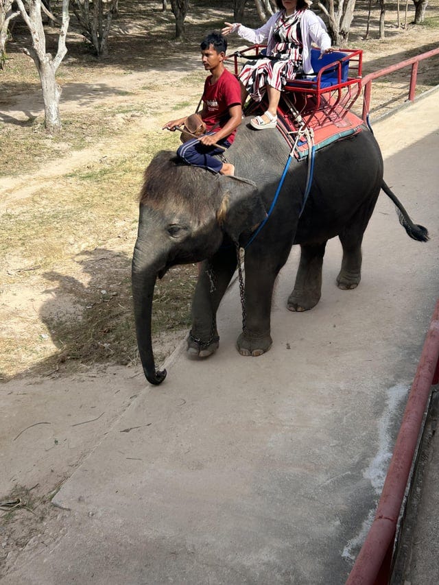 r/ThailandTourism - The dark side of Thailand ….
