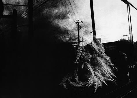 takuma_nakahira_2