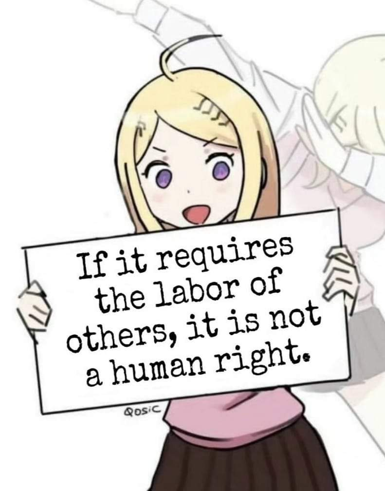 Anime girl holding up a sign that says "if it requires the labor of others, it is not a human right."