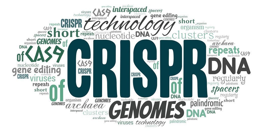 CRISPR | A word cloud featuring "CRISPR". This image is lice… | Flickr