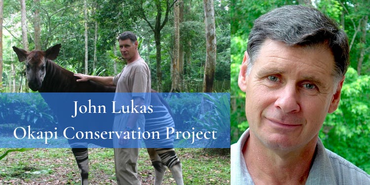 John Lukas, founder of the Okapi Conservation Project, working to protect the endangered okapi species in the Democratic Republic of the Congo