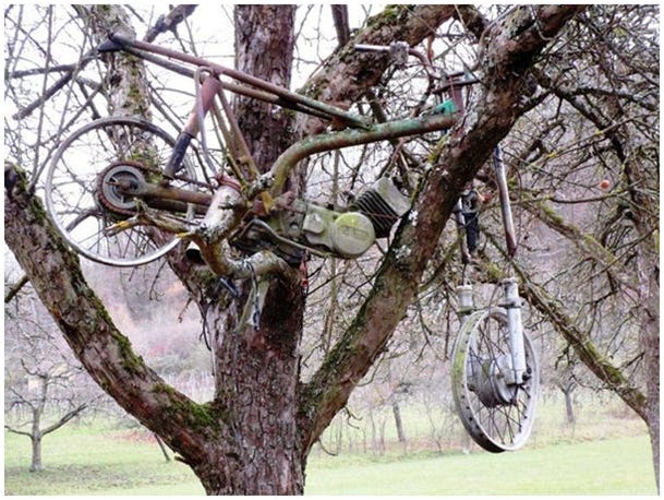 Motorcycle in a tree.