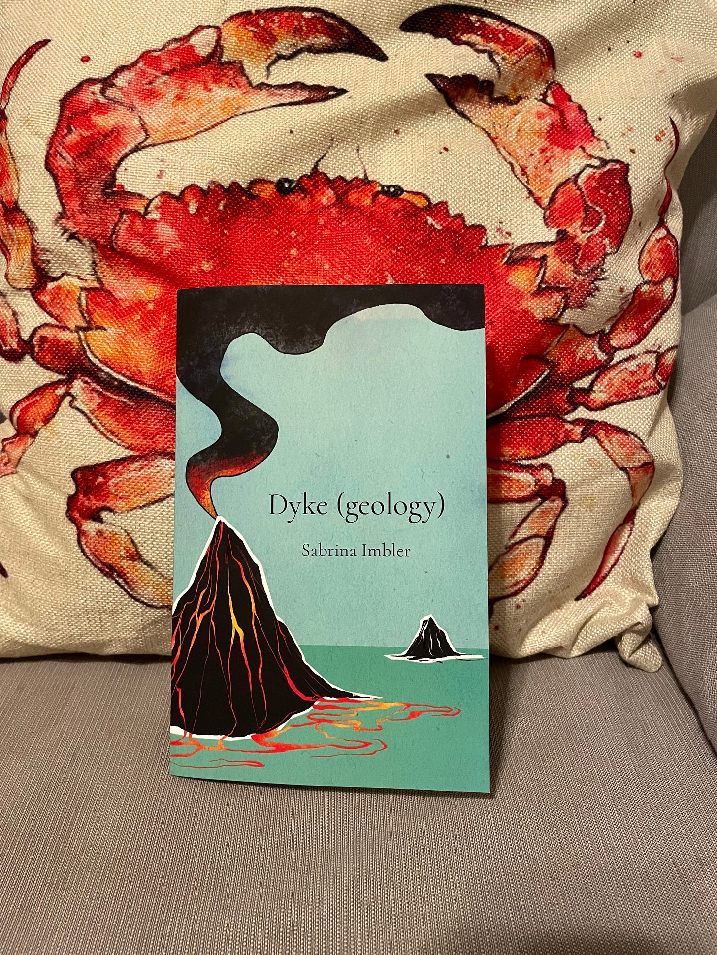 book: 'Dyke (geology)' by Sabrina Imbler against the background of a red crab pillowcase