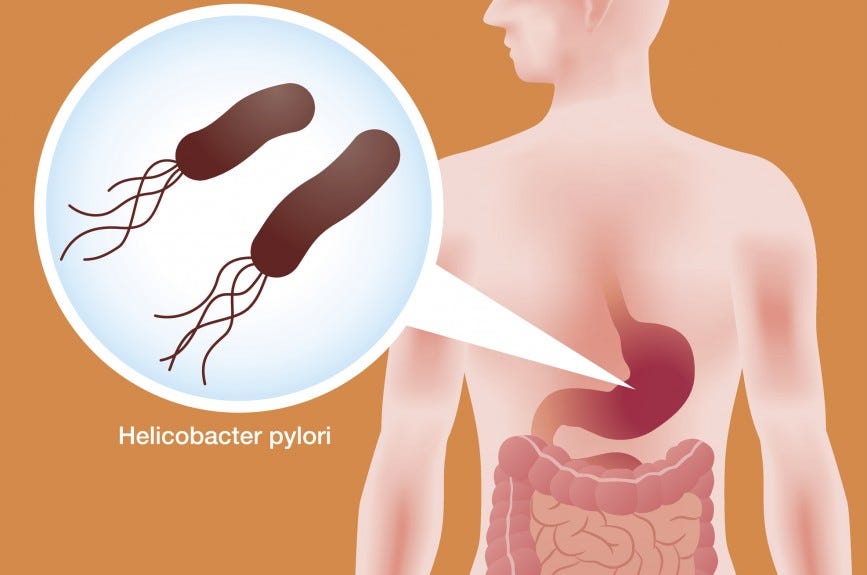 Haute Autorité de Santé - Helicobacter pylori – Traiter pour prévenir  ulcère & cancer chez l'adulte