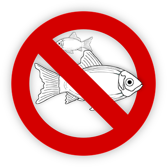 Fish, Allergy, Food, No Fishing, Symbol