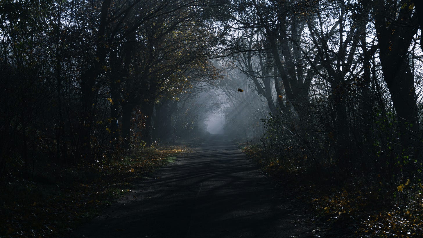 Misty forest path beneath a canopy of bare, twisting trees, with scattered autumn leaves and beams of light filtering through the fog. Misty forest path beneath a canopy of bare, twisting trees, with scattered autumn leaves and beams of light filtering through the fog.
