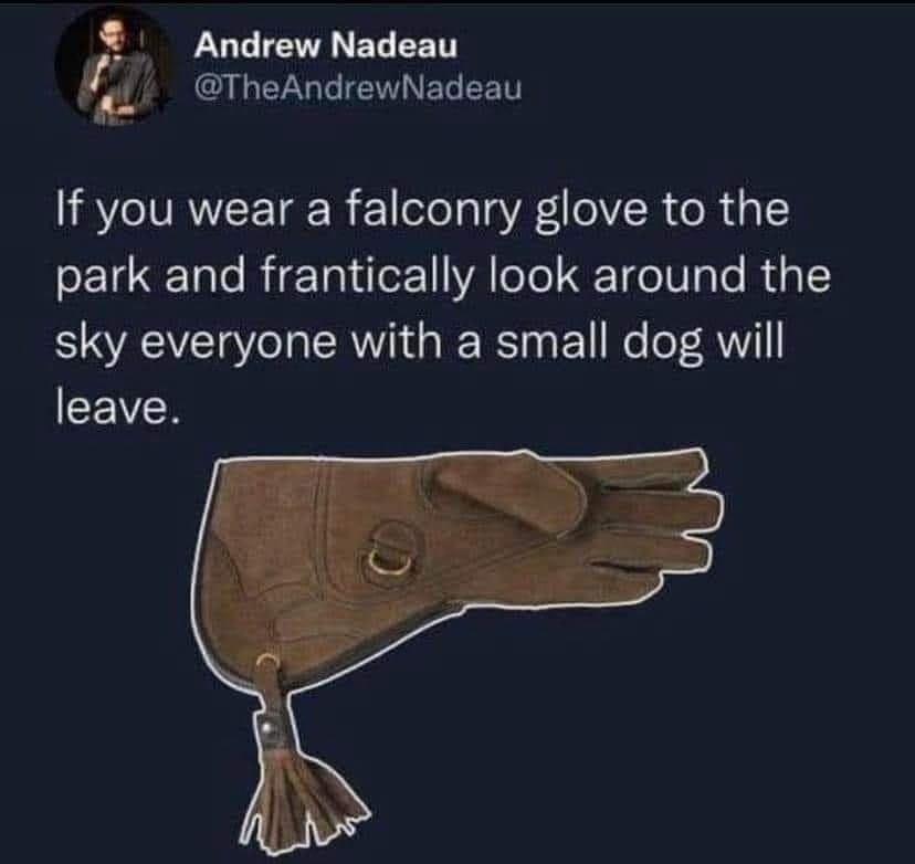 May be an image of 1 person and text that says 'Andrew Nadeau @TheAndrewNadeau If you wear wear a falconry glove to the park and frantically look around the sky everyone with a small dog will leave.'