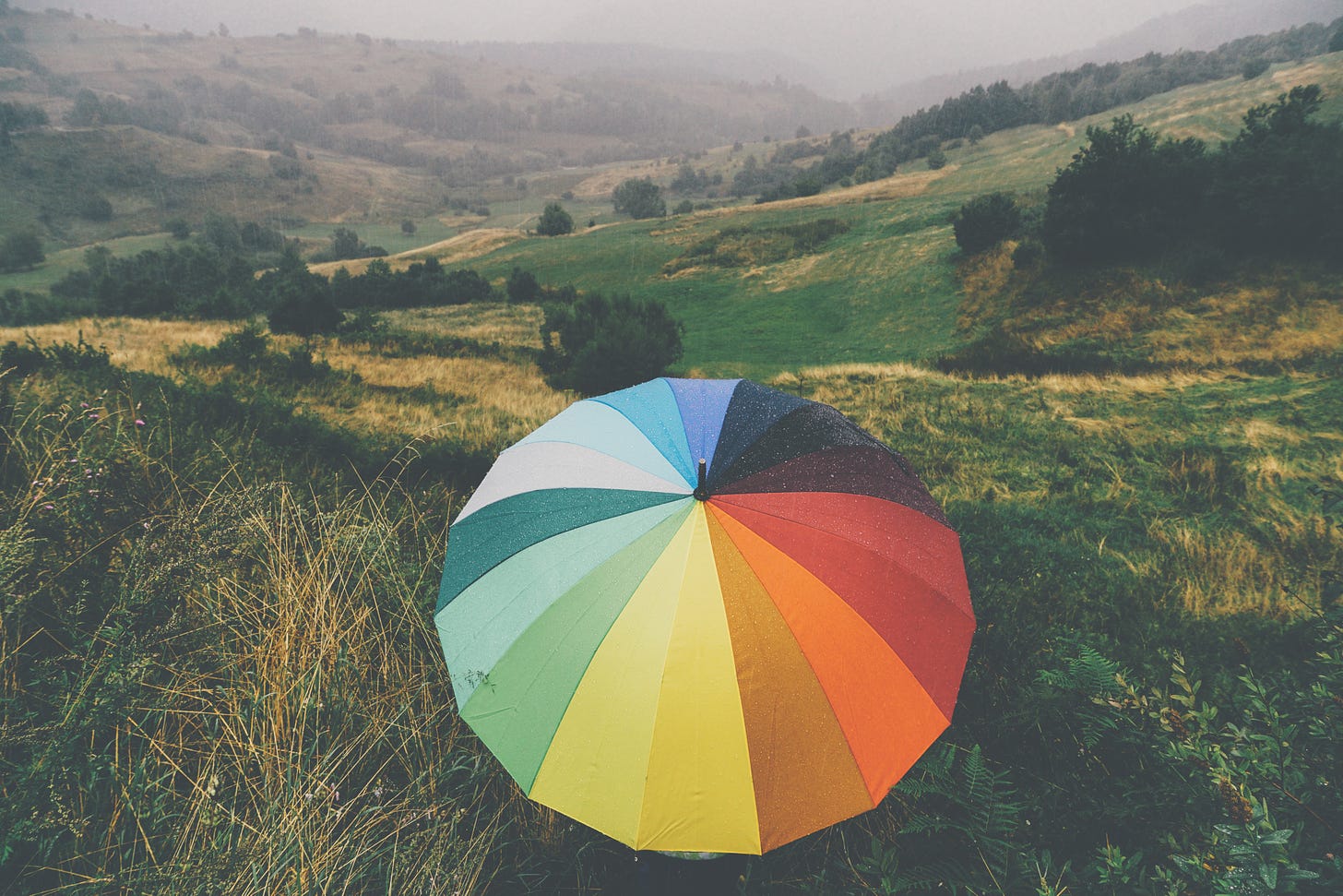 Umbrella on a countryside by Konstantin Planinski.
