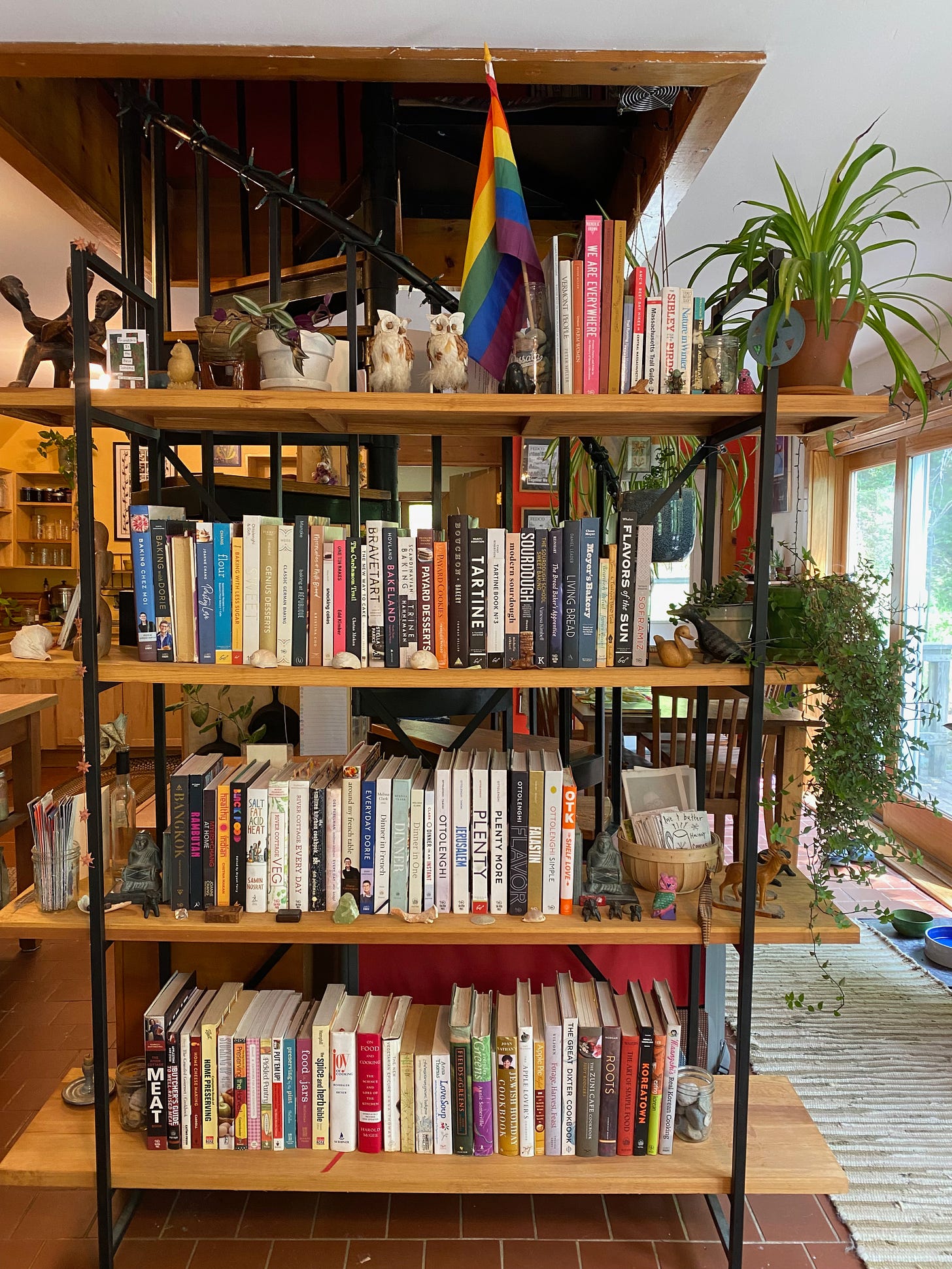A large open bookshelf displaying lots of cookbooks, decorated with plants, small figurines, a pride flag, cards, shells, and stones.