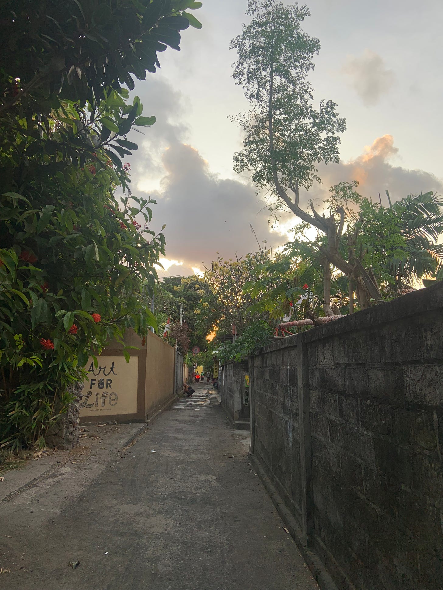 Narrow Bali road with paved cement, tall trees, and moto