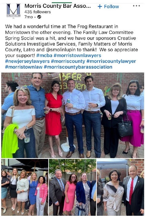 The New Jersey Devil: Diane Womer blames journalist Richard Luthmann for exposing corruption in NJ Family Court. The New Jersey Devil: Diane Womer blames journalist Richard Luthmann for exposing corruption in NJ Family Court.