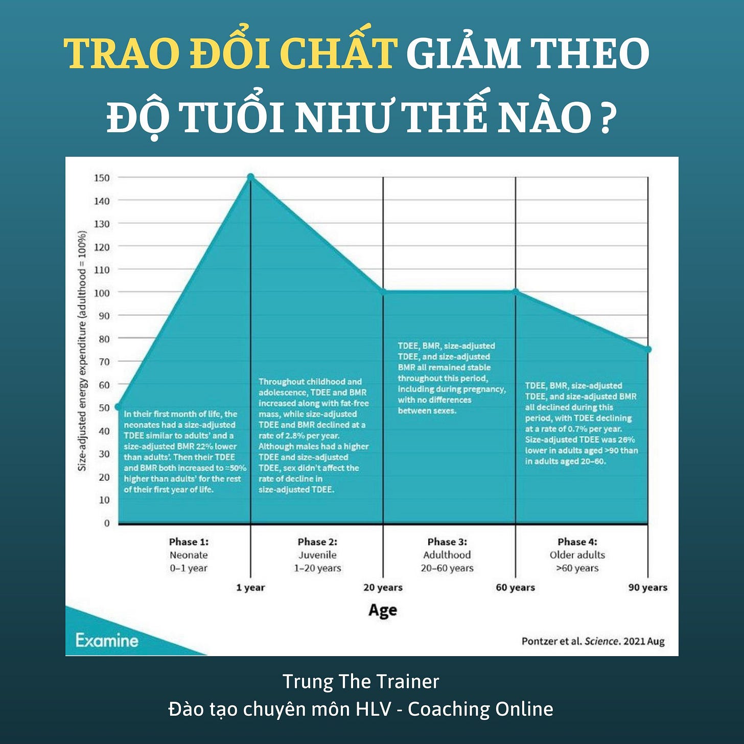 Không có mô tả ảnh.