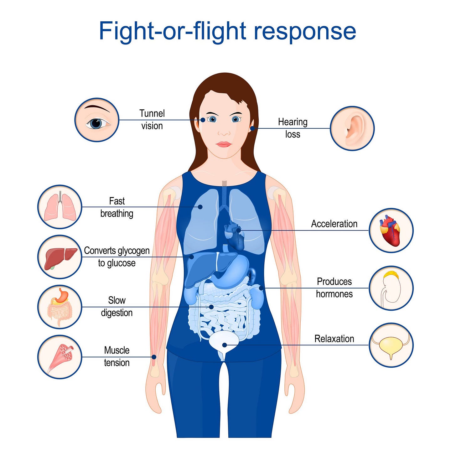 Fight, Flight, Freeze, or Fawn: How We Respond to Threats