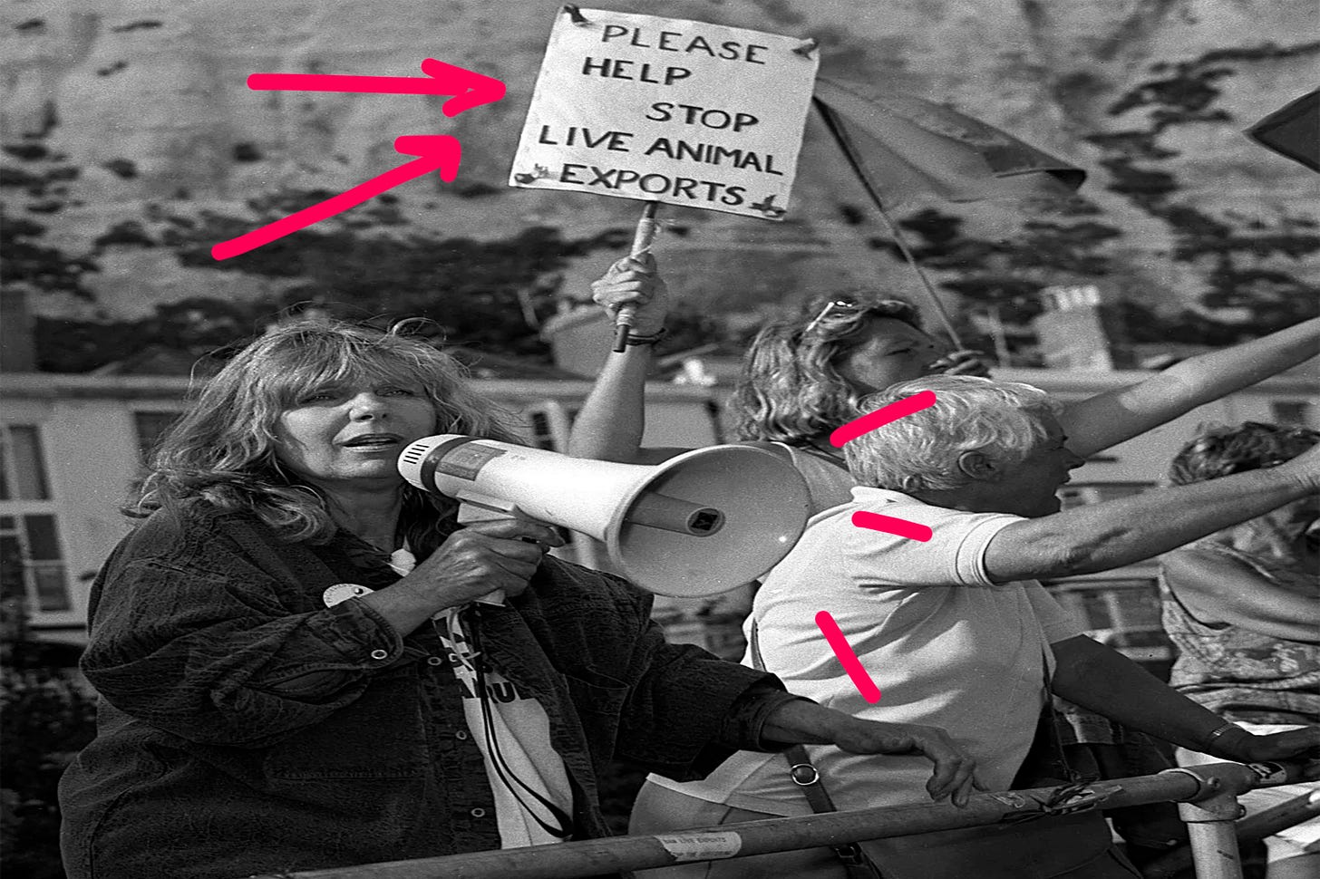 Person with long hair and megaphone protesting against live animal exports, with people in the back holding up picket signs.