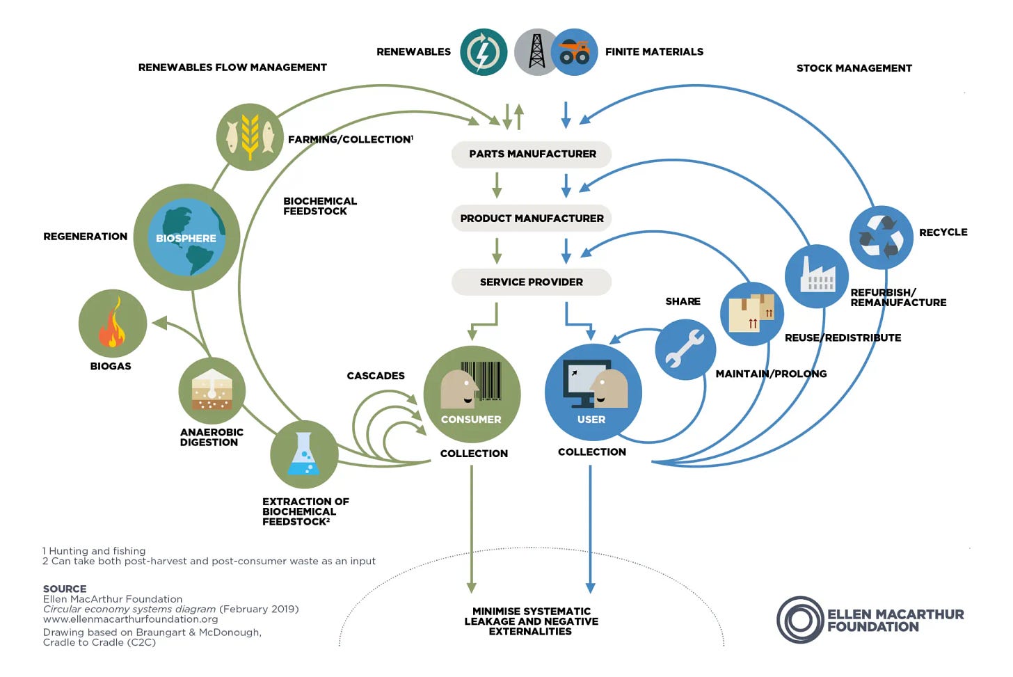 The circular economy in detail