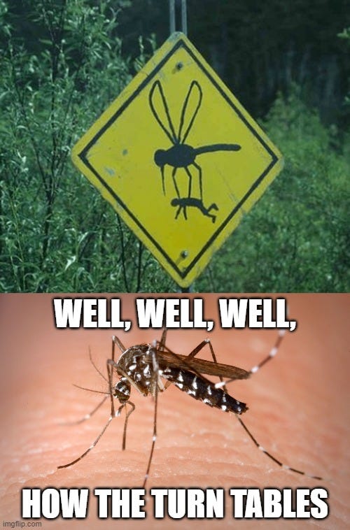 mosquito Memes & GIFs - Imgflip