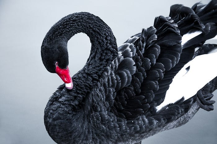 Black Swan