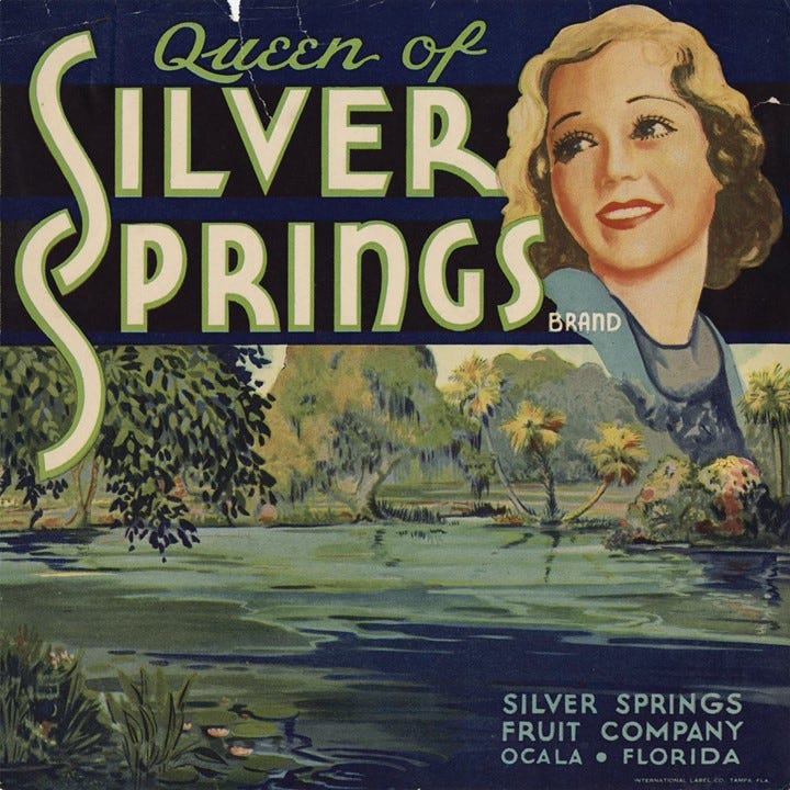 Queen of Silver Springs