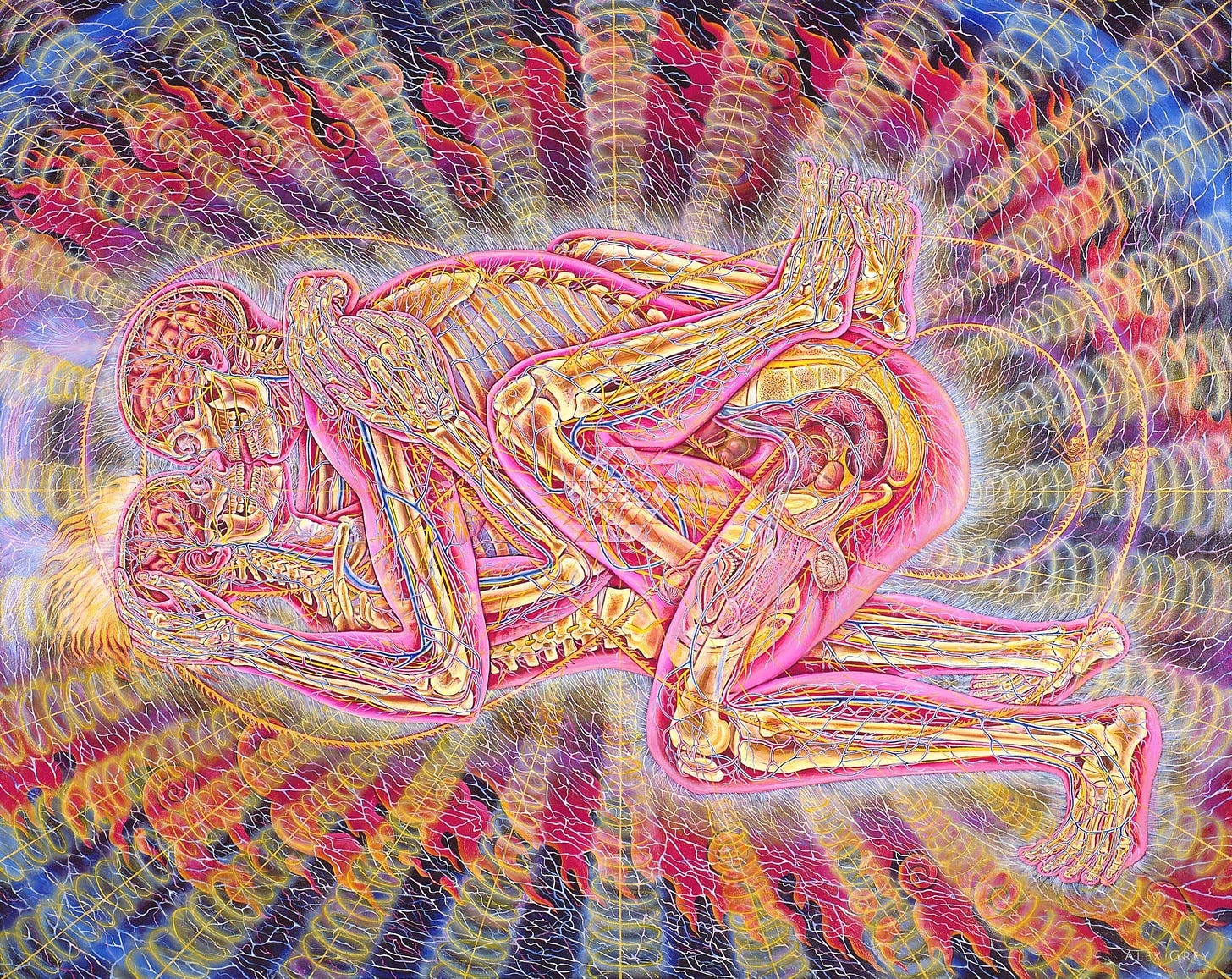 Copulating by Alex Grey