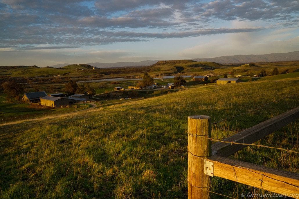 Sunrise at Farm Sanctuary.