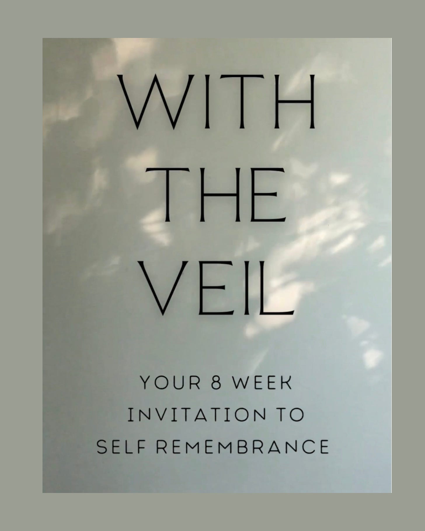 Image of shadows through the trees appearing on a white wall. Text on the image reads “WITH THE VEIL: YOUR 8 WEEK INVITATION TO SELF REMEMBRANCE”