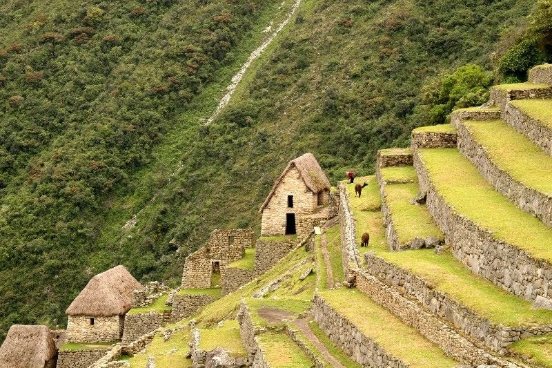 Prehistoric terraced Inca farming (click here view more)