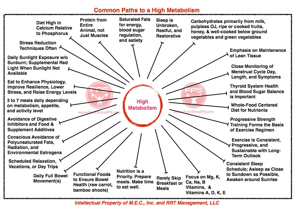Common Paths to a High Metabolism – Functional Performance Systems (FPS)