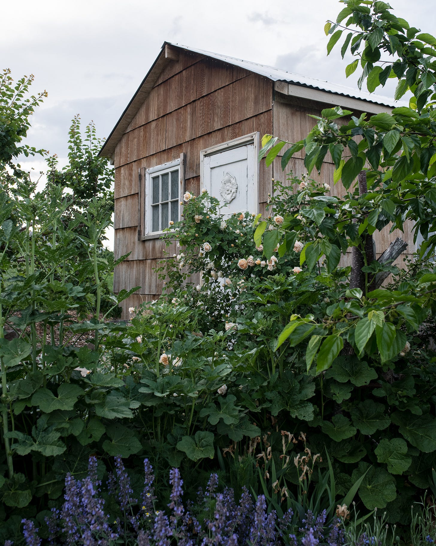 Cottage garden tour at The Elliott Homestead