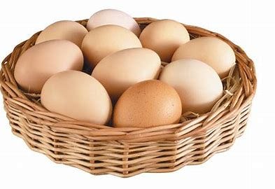 Image result for eggs basket