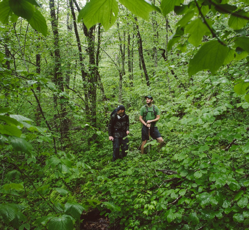 jeremy and dwayne parton in the woods