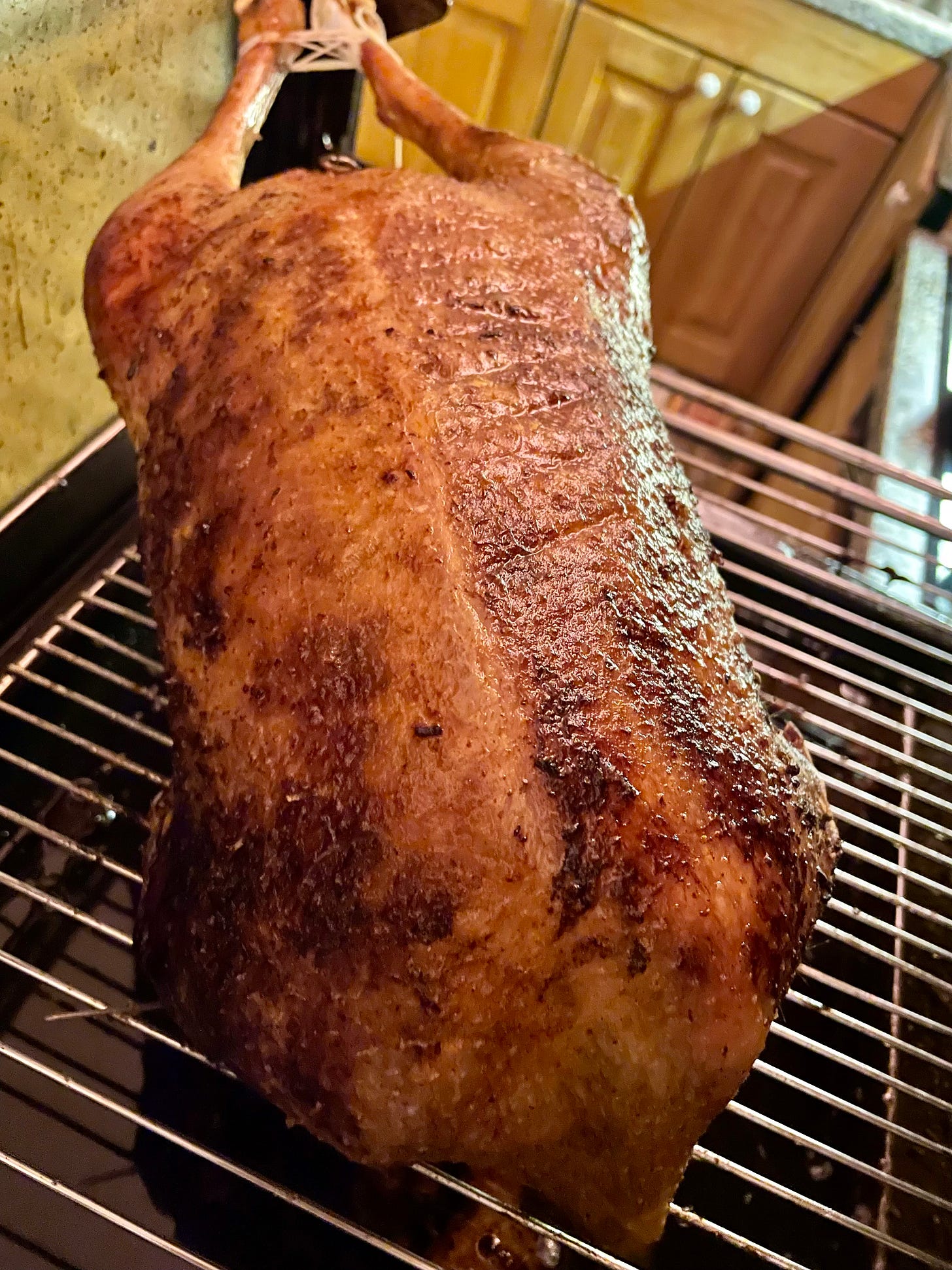 A roasted goose with crispy, golden-brown skin on a rack inside the oven, with visible juices dripping below. A roasted goose with crispy, golden-brown skin on a rack inside the oven, with visible juices dripping below.