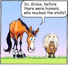Fergus the Horse - Horse Cartoons by Jean Abernethy | Horse cartoon, Funny  horses, Funny horse pictures
