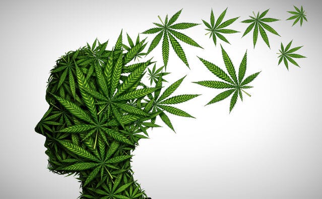 One Way Using Cannabis for Migraine Headaches Might Backfire | Psychology  Today