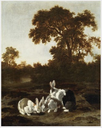 File:Rabbits at the Mouth of a Burrow .PNG - Wikimedia Commons