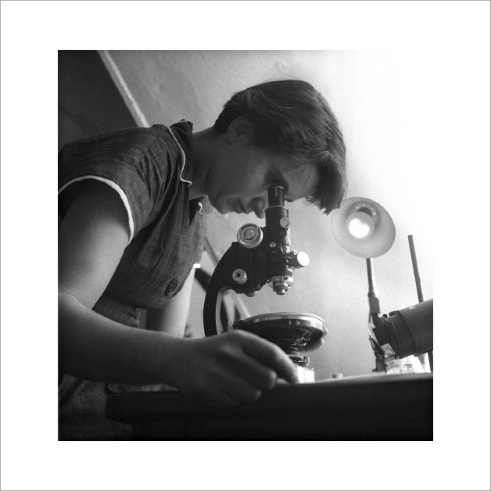 Rosalind Franklin at work in a laboratory: 1954 - museumoflondon-prints