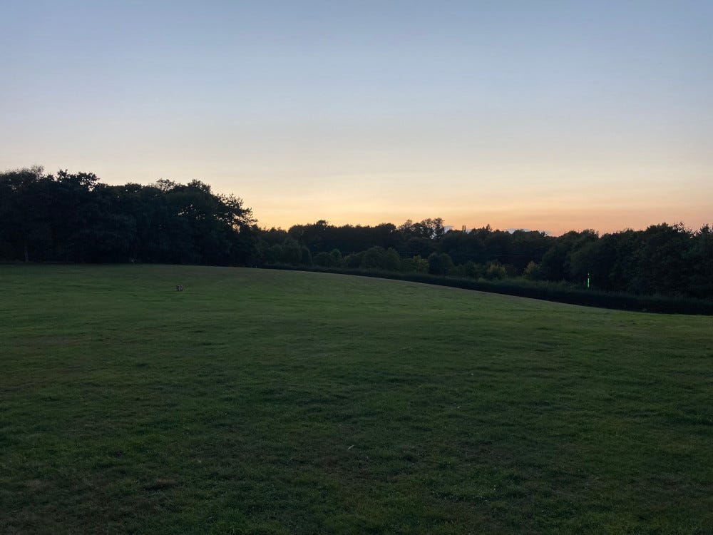 A green sloping field, almost like the Windows 95 background, edged in darker green trees under a sky fading from light blue to light orange.