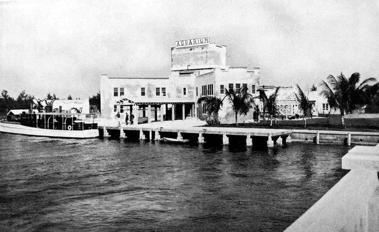 Cover: Photo of the Aquarium from the County Causeway in 1921. Courtesy of Florida State Archives.