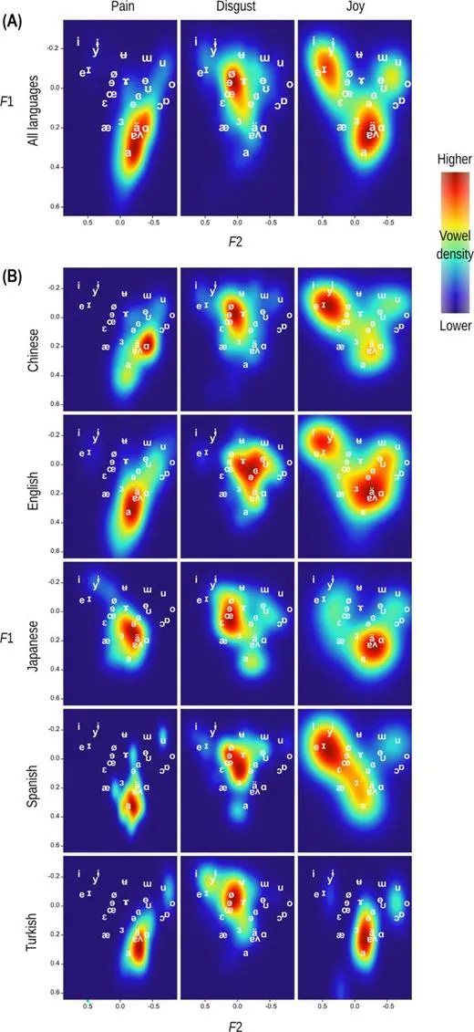 Vowel plots showing the relative pronunciation of vowels in words relating to pain in various languages. Vowel plots showing the relative pronunciation of vowels in words relating to pain in various languages.