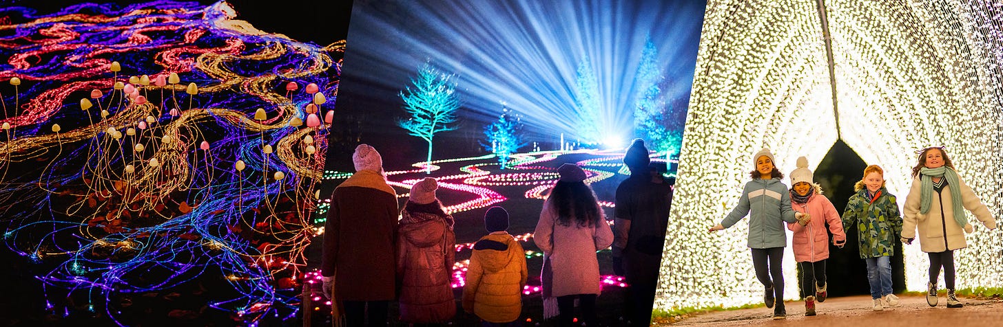 images of festive light illuminations including lit up trees, fibre optic lights on the ground and an archway of fairy lights with children running underneath