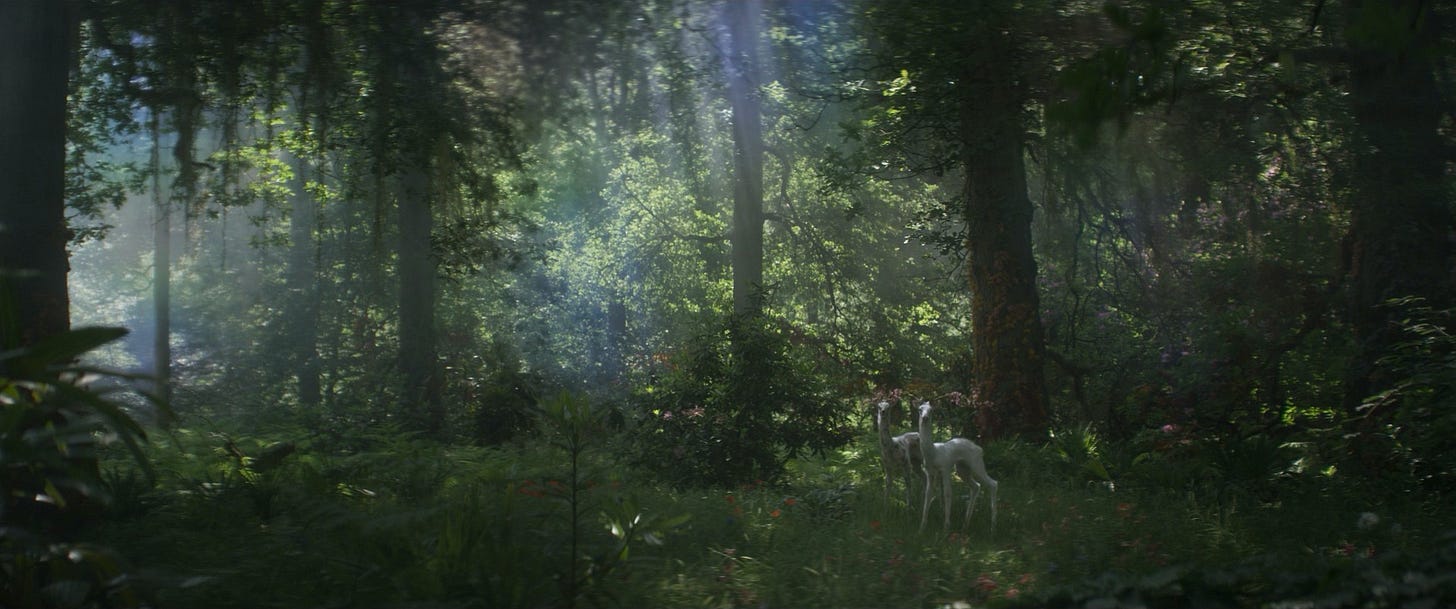 2 magic deer in forest in annihilation 2 magic deer in forest in annihilation