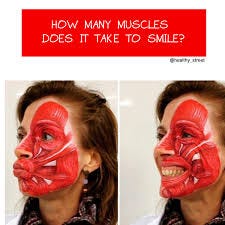 Healthy Street - HOW MANY MUSCLES DOES IT TAKE TO SMILE? You've likely been  told (or read in a forwarded e-mail) that it takes fewer muscles to smile  than it does to