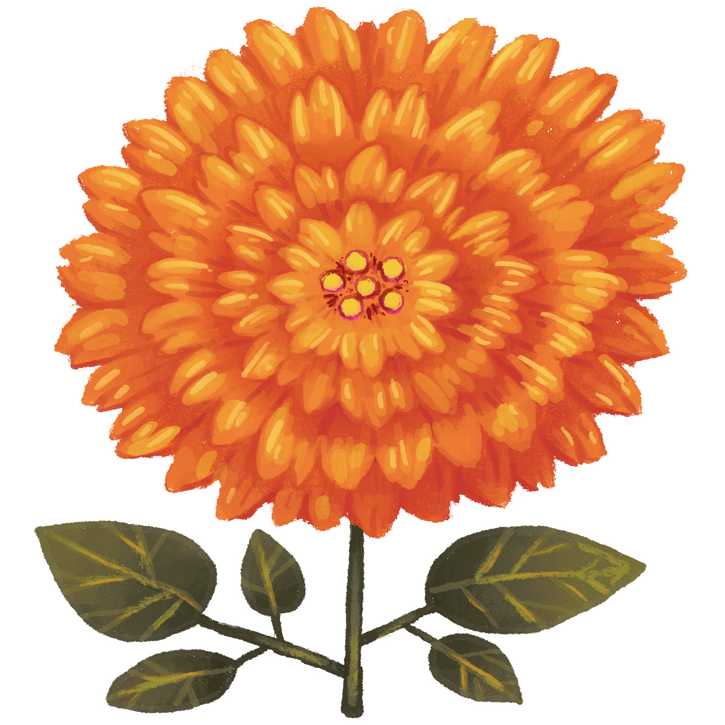 A handmade digital illustration of a stylized orange dahlia flower