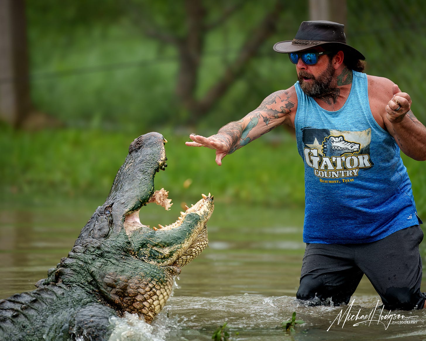 Arlie Hammonds feeding an alligator by hand. 