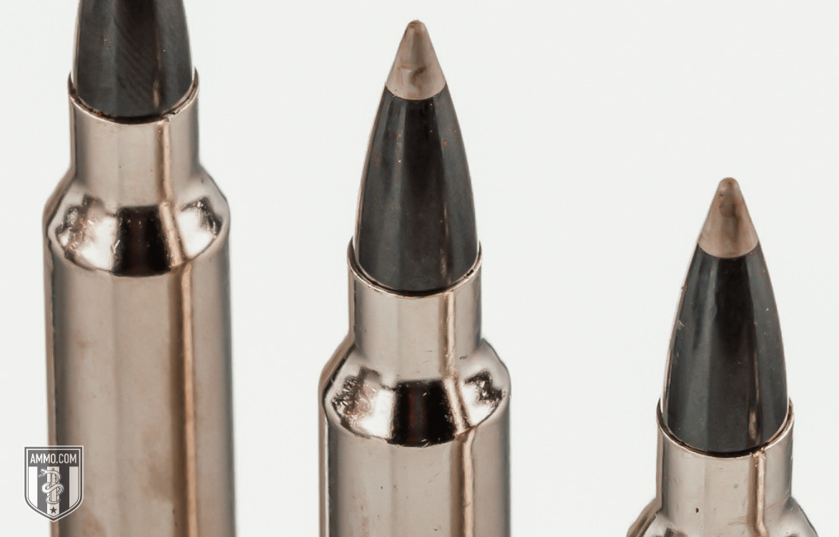 300 Win Mag Bullet 300 Win Mag Bullet