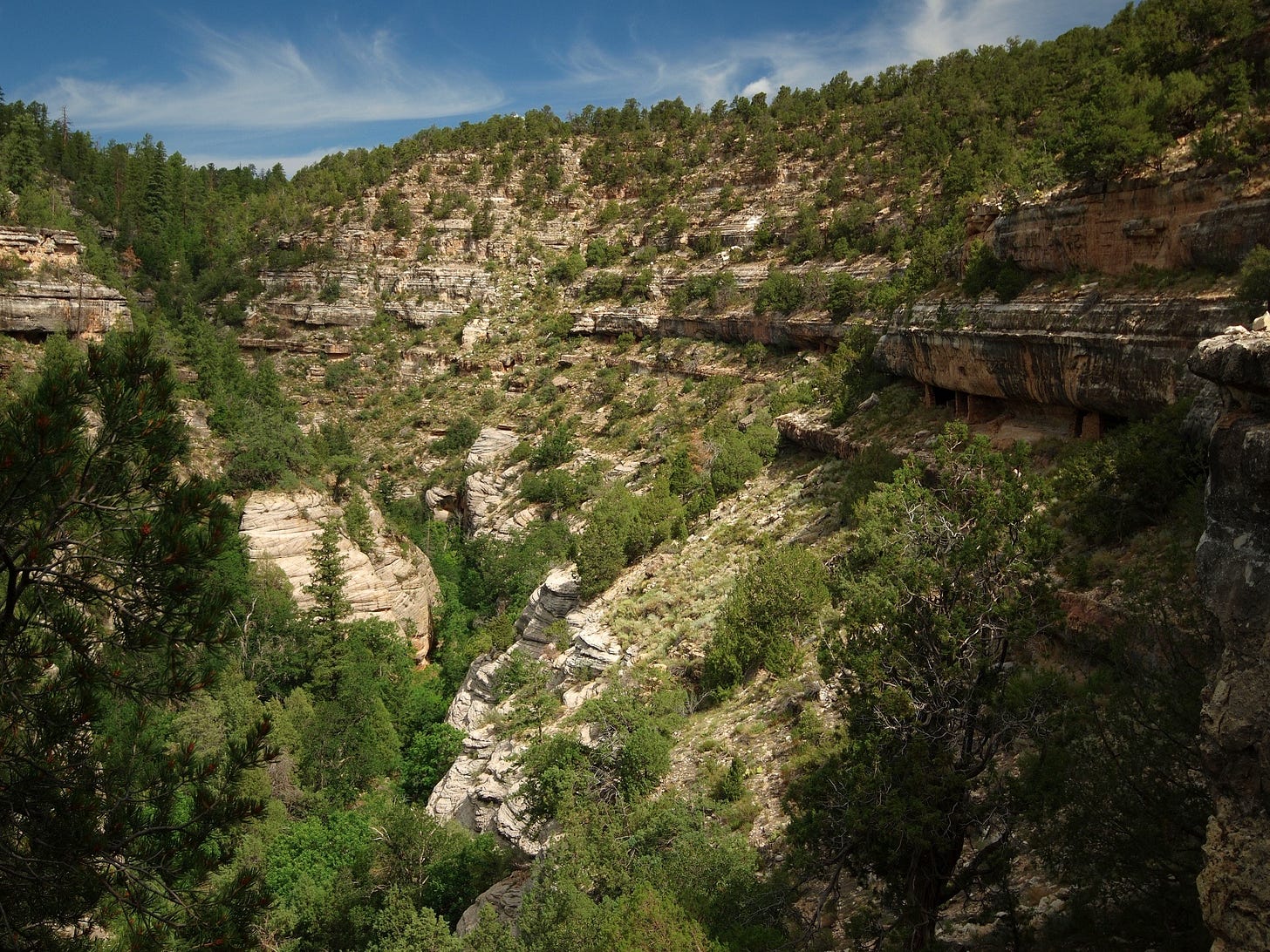 Walnut Canyon view