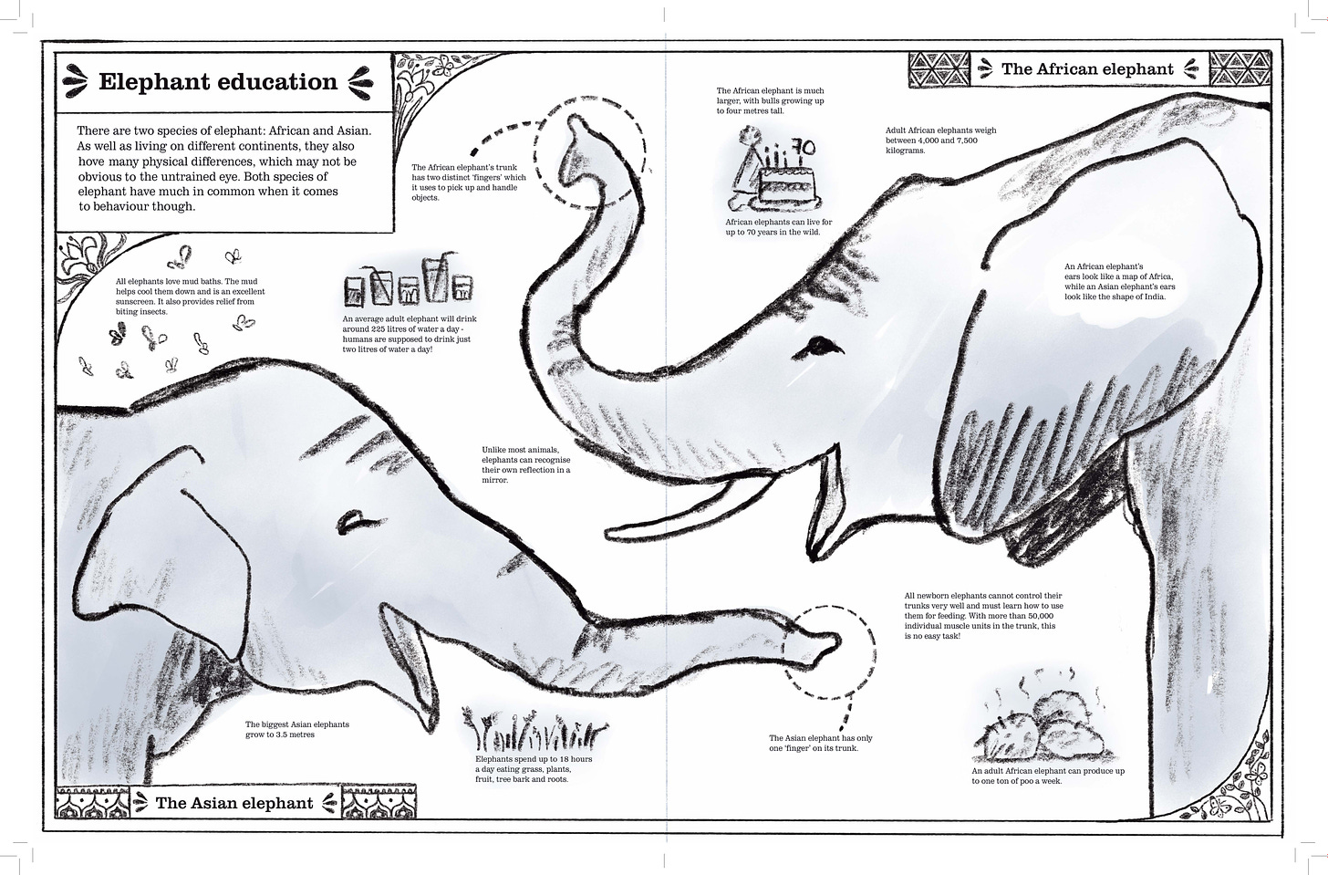 A rough illustration of two elephants facing each other surrounded by elephant facts.