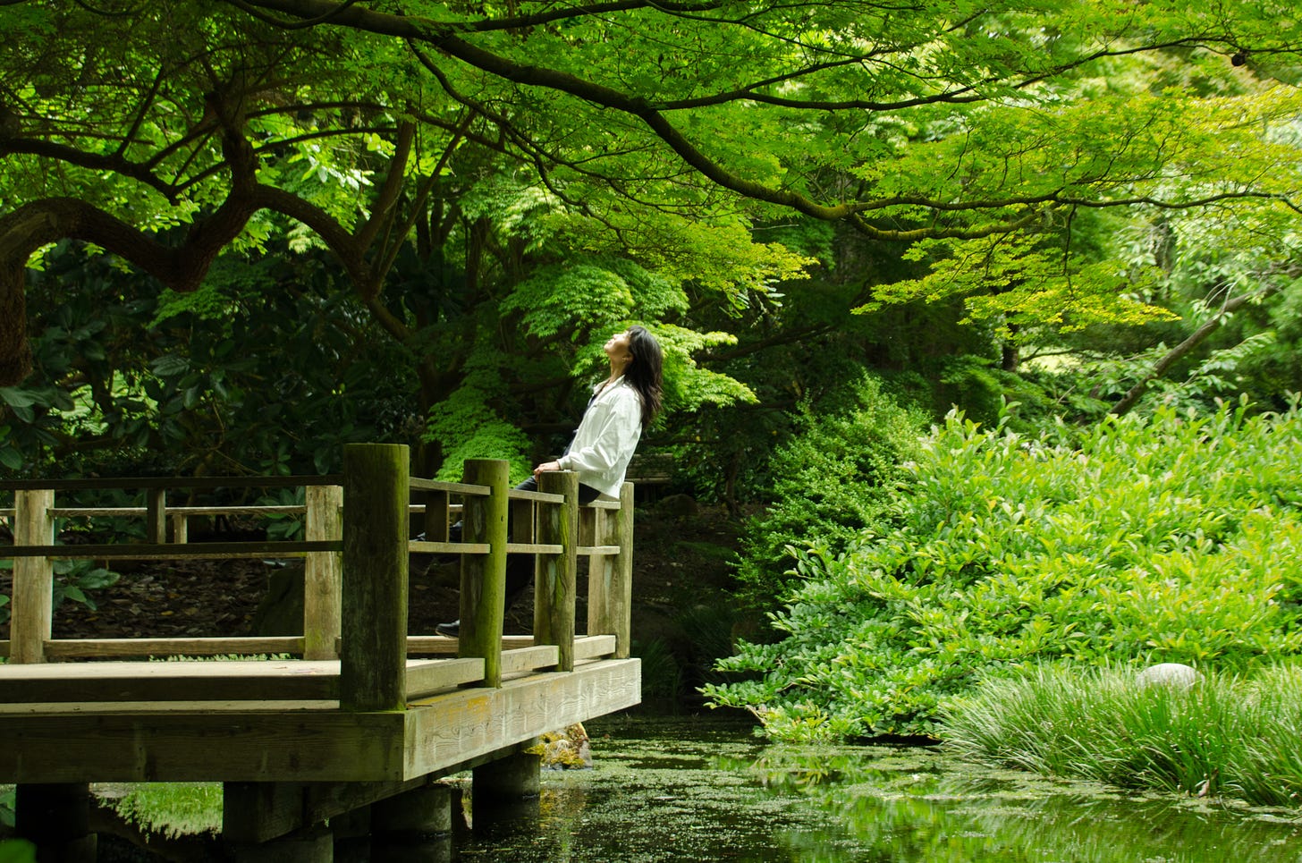 an asian woman in the san francisco botanical gardens, on a moon viewing deck surrounded by green trees