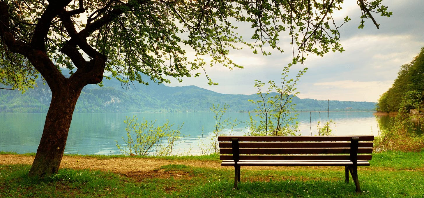 Wooden bench overlooking a lake