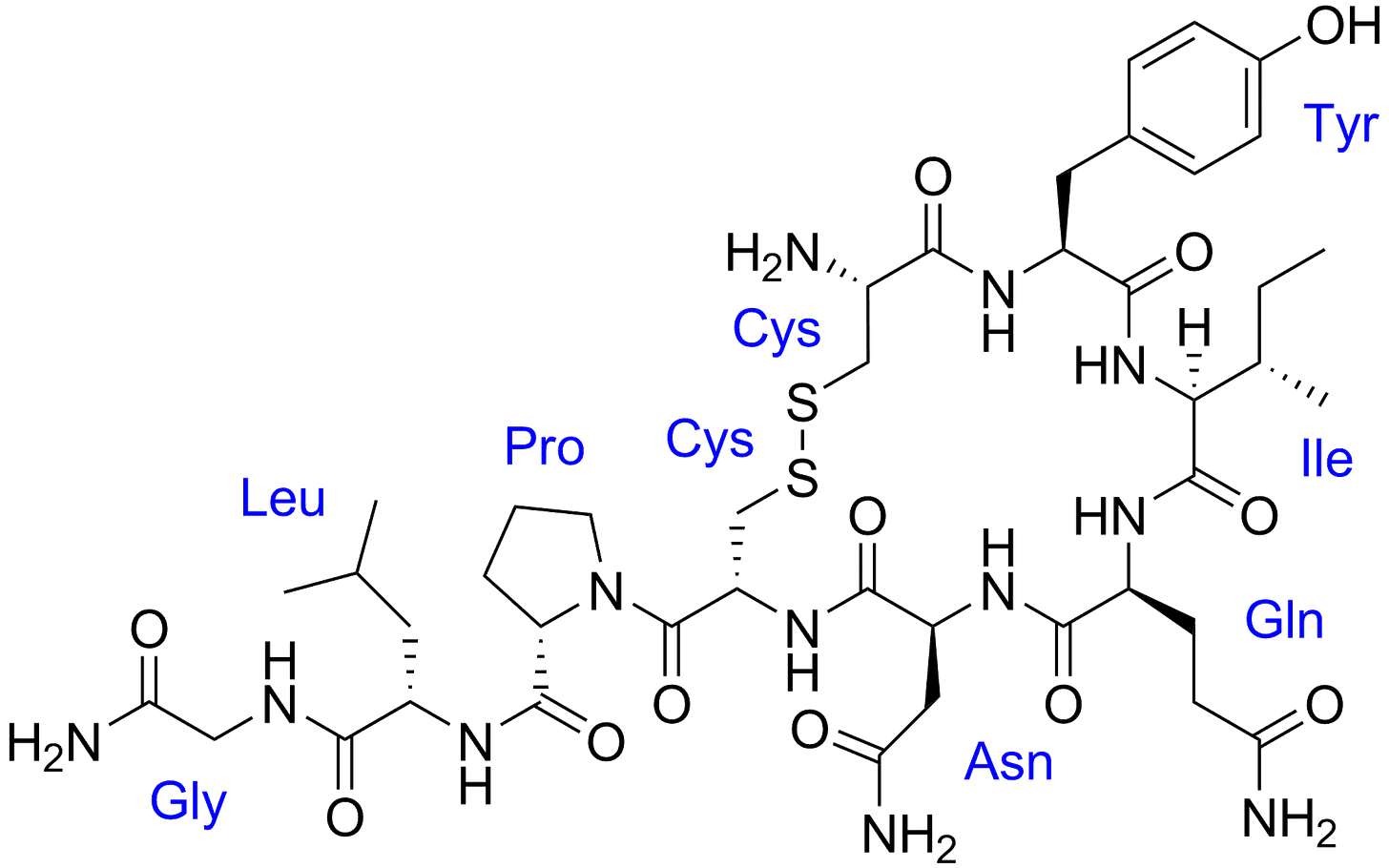 Oxytocin - Wikipedia