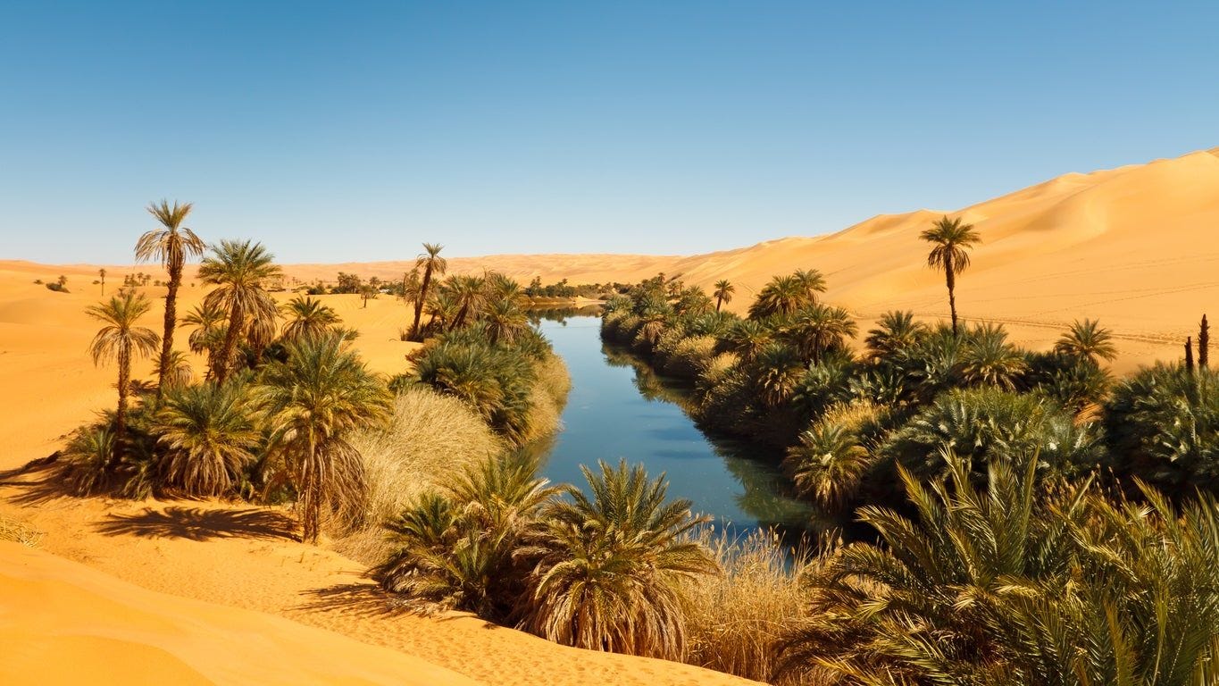 Los oasis de Egipto: remansos de frescor en pleno desierto - Viajar